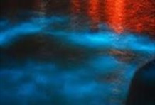 Luminous Lagoon Tour